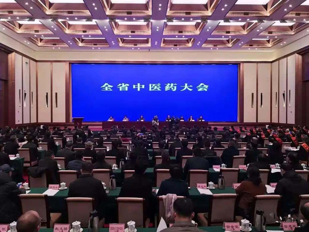 见证盛典，公司应邀参加 湖南省中医药大会